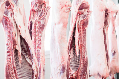 European pork production